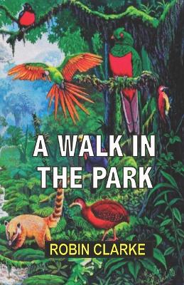 Book cover for A Walk in the Park