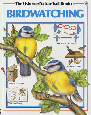 Book cover for Usborne Nature Trail Book of Bird Watching