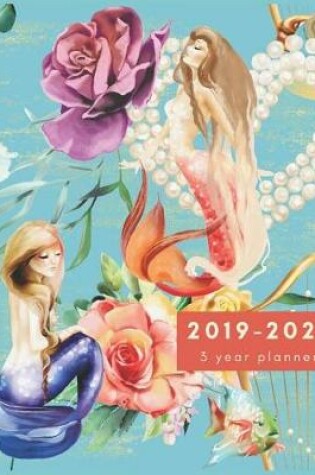 Cover of 2019-2021 3 Year Planner
