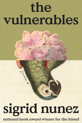Cover of The Vulnerables