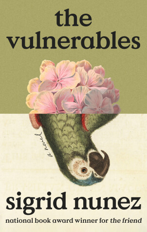 Book cover for The Vulnerables