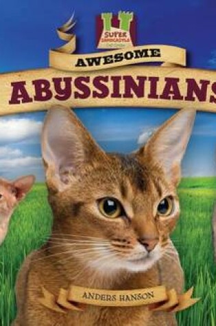 Cover of Awesome Abyssinians