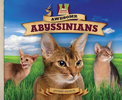 Book cover for Awesome Abyssinians