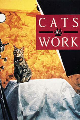 Cover of Working Cat