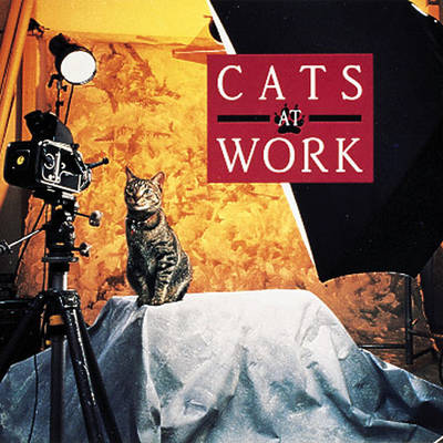 Book cover for Working Cat