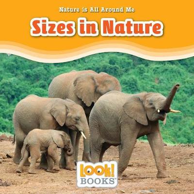 Book cover for Sizes in Nature