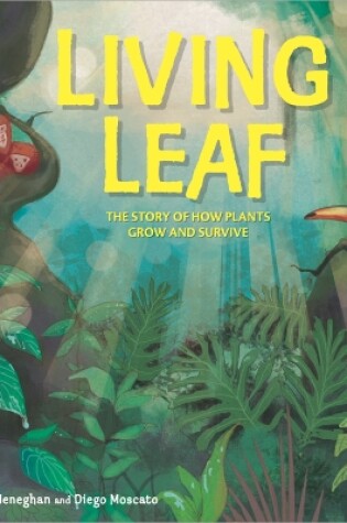 Cover of Plant Life: Living Leaf