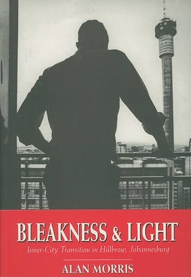 Book cover for Bleakness and Light