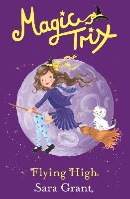 Book cover for Flying High