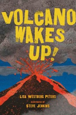 Cover of Volcano Wakes Up!