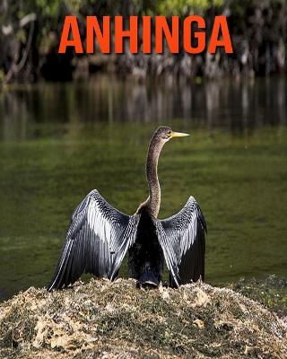 Book cover for Anhinga