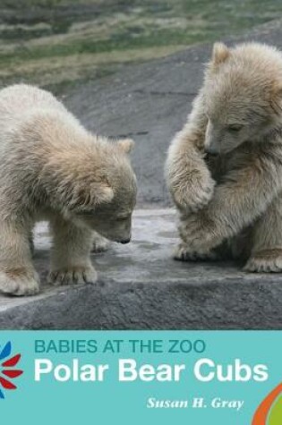 Cover of Polar Bear Cubs