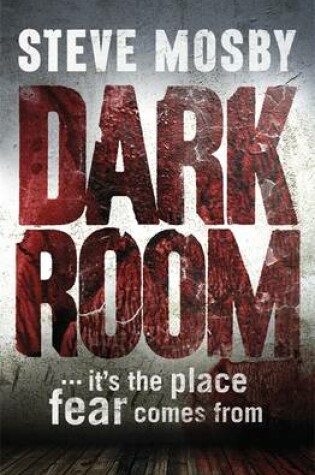 Cover of Dark Room