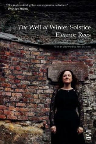 Cover of The Well at Winter Solstice