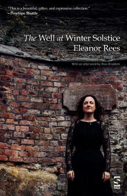 Cover of The Well at Winter Solstice