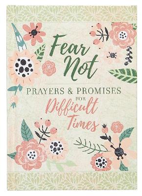 Book cover for Fear Not