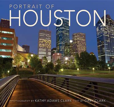 Book cover for Portrait of Houston