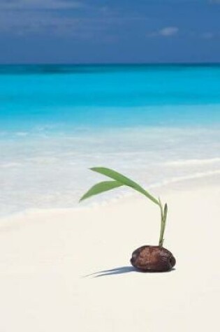 Cover of A Coconut Palm Seedling on the Beach Journal