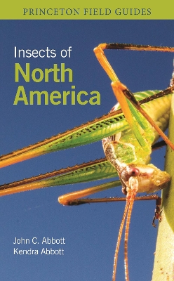 Book cover for Insects of North America