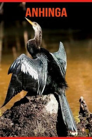 Cover of Anhinga