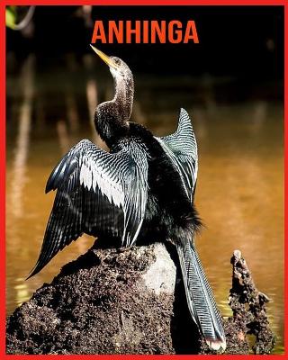 Book cover for Anhinga