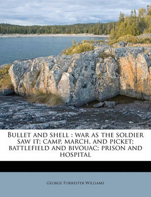 Book cover for Bullet and Shell