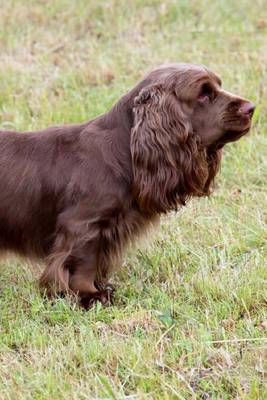 Cover of Sussex Spaniel