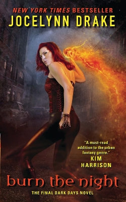 Book cover for Burn the Night