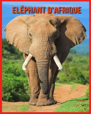 Book cover for Eléphant d'Afrique