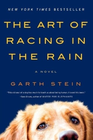 Cover of The Art of Racing in the Rain