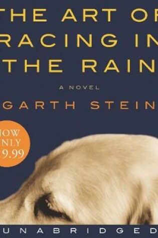 Cover of The Art of Racing in the Rain