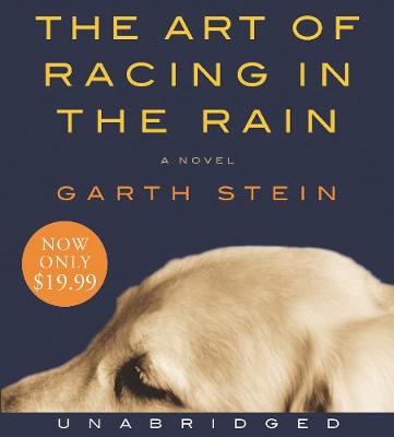 Book cover for The Art of Racing in the Rain