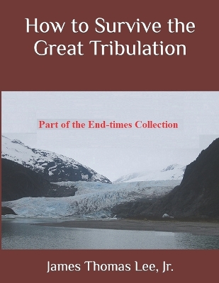 Book cover for How to Survive the Great Tribulation