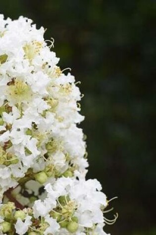 Cover of Crepe Myrtle Notebook