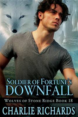 Book cover for Soldier of Fortune's Downfall