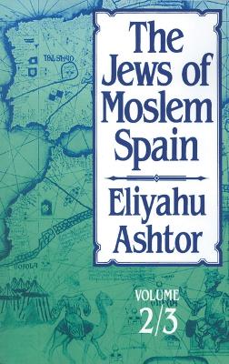 Book cover for The Jews of Moslem Spain, Volumes 2 & 3
