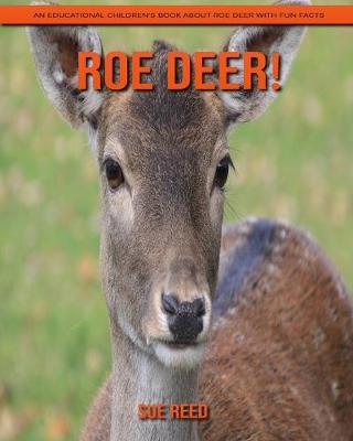 Book cover for Roe deer! An Educational Children's Book about Roe deer with Fun Facts