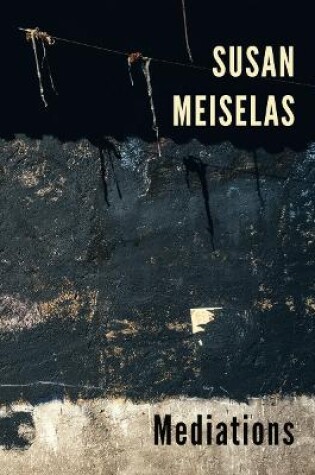 Cover of Susan Meiselas: Mediations