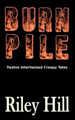 Book cover for Burn Pile