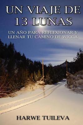 Cover of Un viaje de 13 lunas