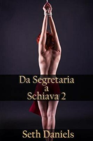 Cover of Da Segretaria a Schiava 2