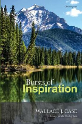 Cover of Bursts of Inspiration