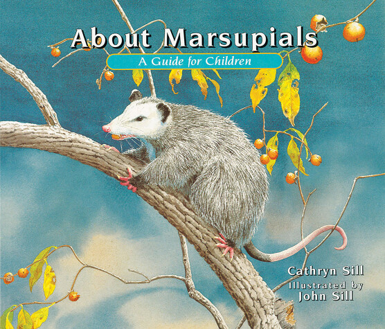 Book cover for About Marsupials