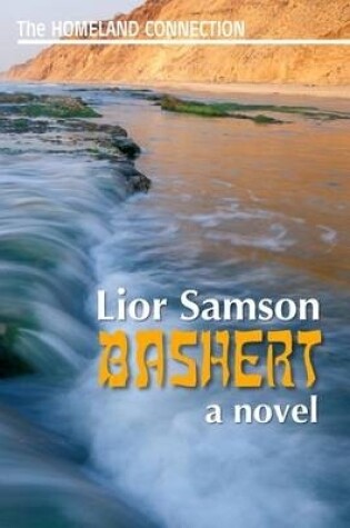 Cover of Bashert