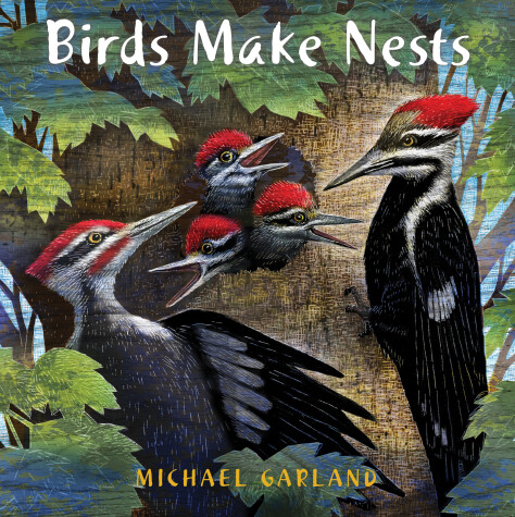 Book cover for Birds Make Nests