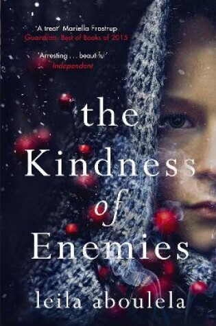 Cover of The Kindness of Enemies
