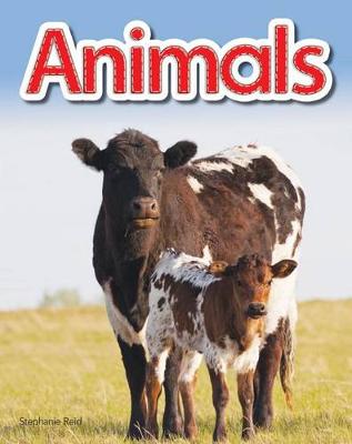 Cover of Animals Lap Book