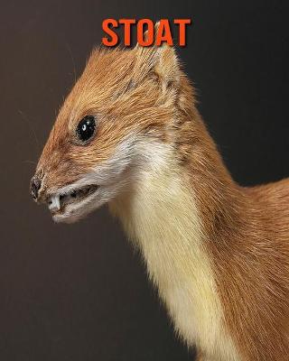 Book cover for Stoat