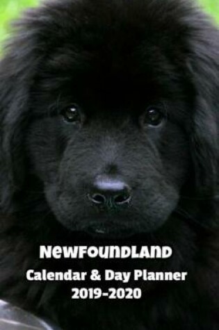 Cover of Newfoundland Calendar & Day Planner 2019-2020