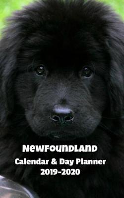 Book cover for Newfoundland Calendar & Day Planner 2019-2020